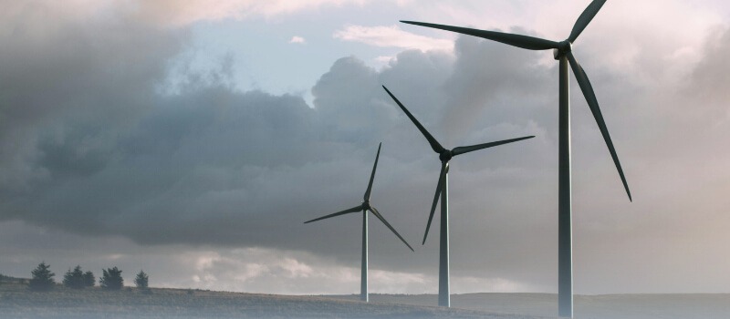 Wind turbines in an open field symbolizing Indian startups' shift from aggressive growth to sustainable profitability, focusing on efficiency and long-term resilience