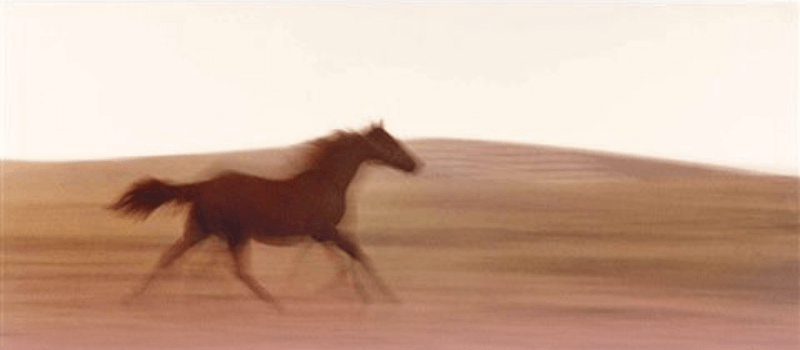 A blurred motion image of a galloping horse in an open landscape, symbolizing speed, agility, and adaptability—key traits of the evolving secondary market in private equity.