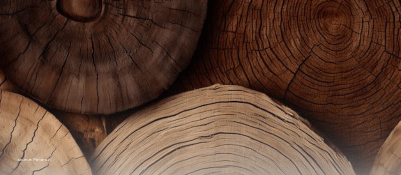 close-up of tree rings symbolizing vintage wisdom and compounding experience over time
