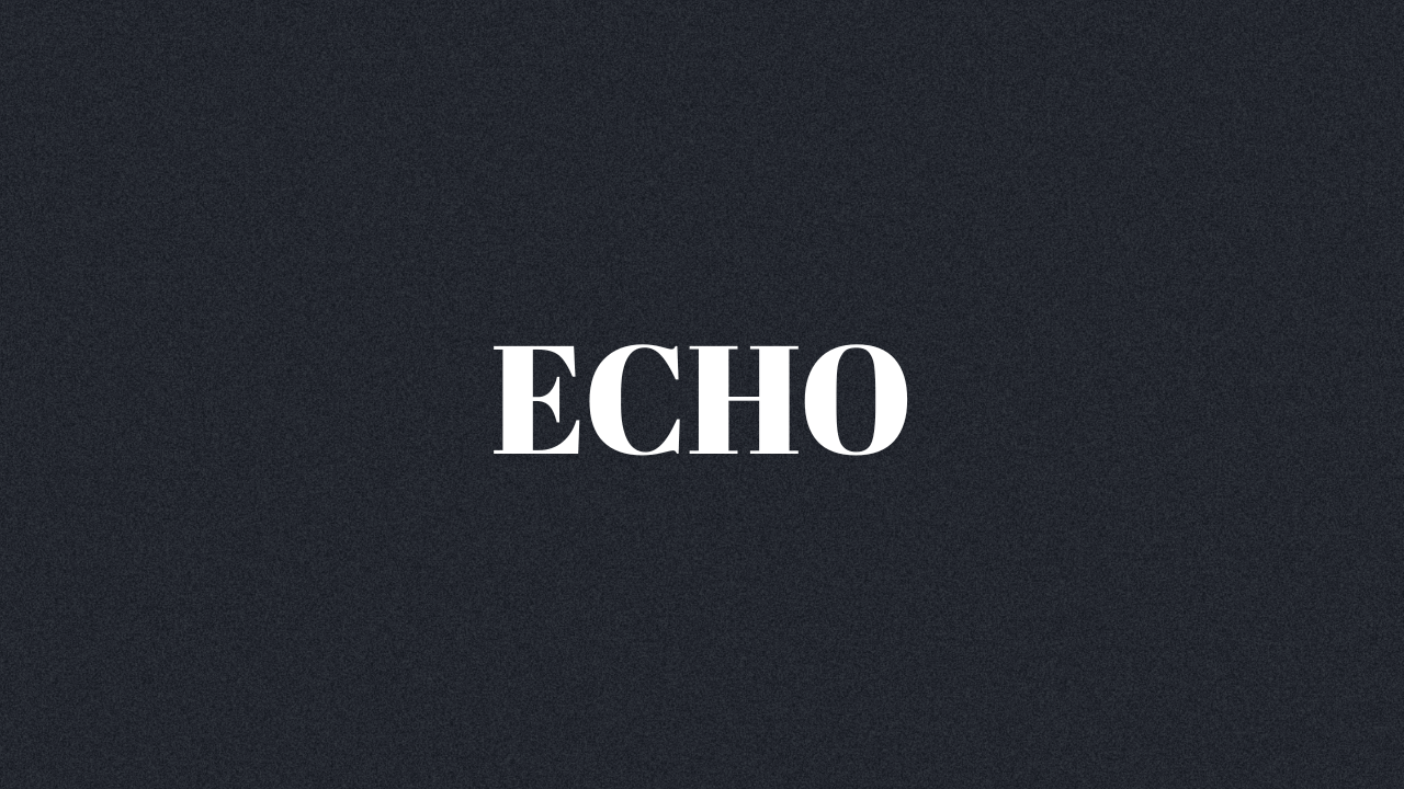 Echo: symbolizing repeated investor behavior driven by crowd signals, not independent judgment.