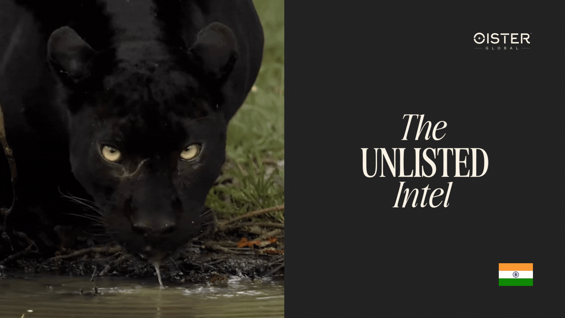 Black panther with The Unlisted Intel logo, symbolizing sharp market insight