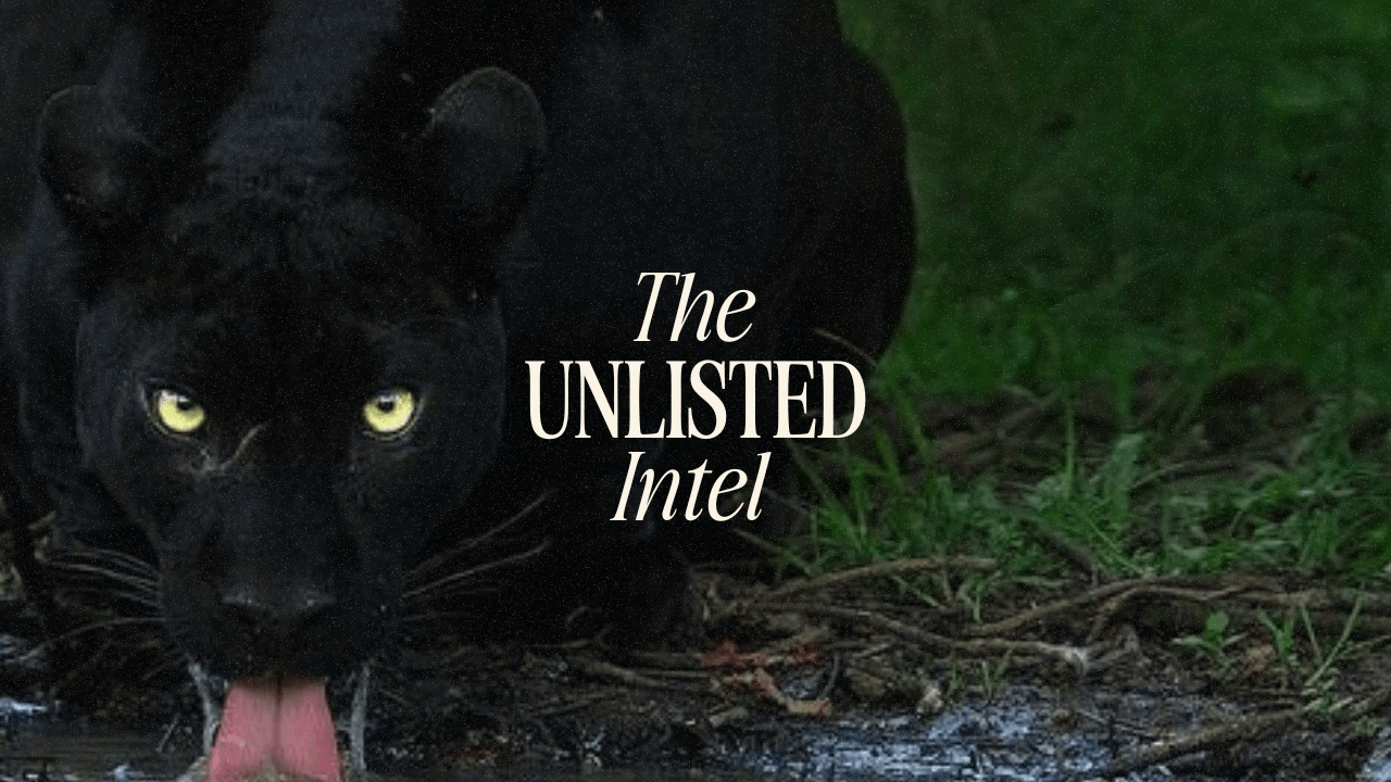 Black panther with The Unlisted Intel logo, symbolizing sharp market insight