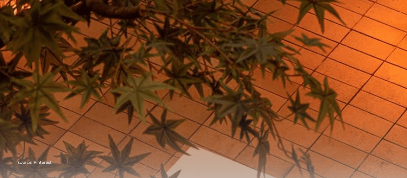 Orange leaves over geometric roof tiles, introducing analysis of 2025 secondaries deal volume.