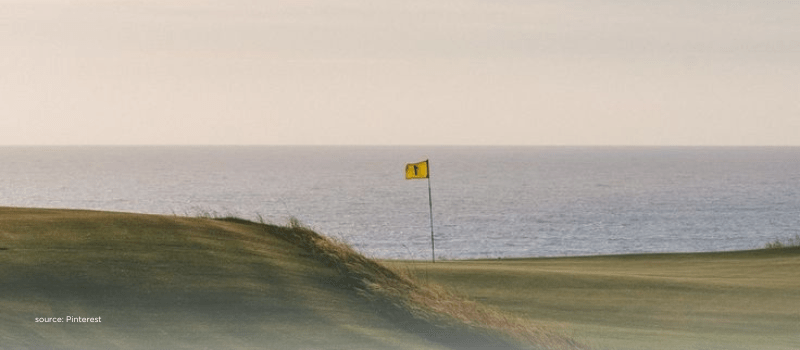 Flag on coastal fairway reflecting India’s record IPO milestones and market maturity