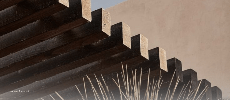 Structural beams evoking stronger founder frameworks, governance, and resilience