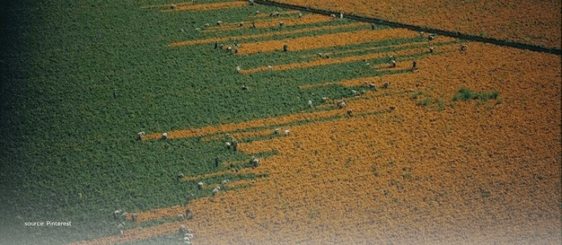 Striped fields—layers of credit, yield, and liquidity in private markets.