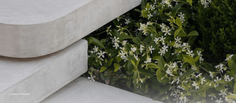 Clean concrete ledge beside jasmine blooms, evoking fast, polished AI product demos.