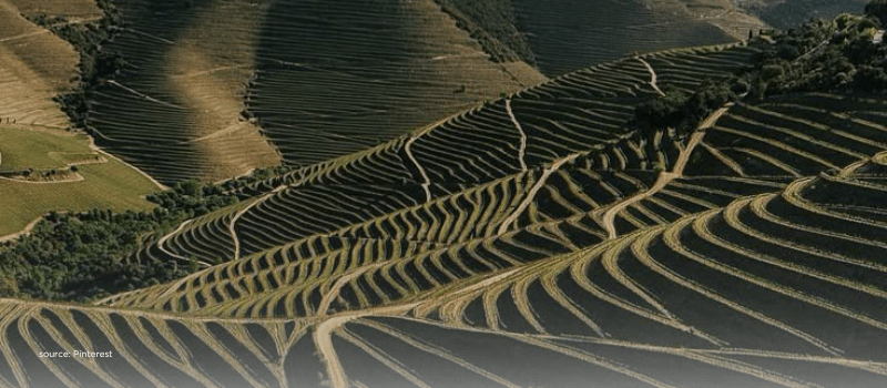 Terraced hills mirror diverse investor archetypes on India’s digital platforms