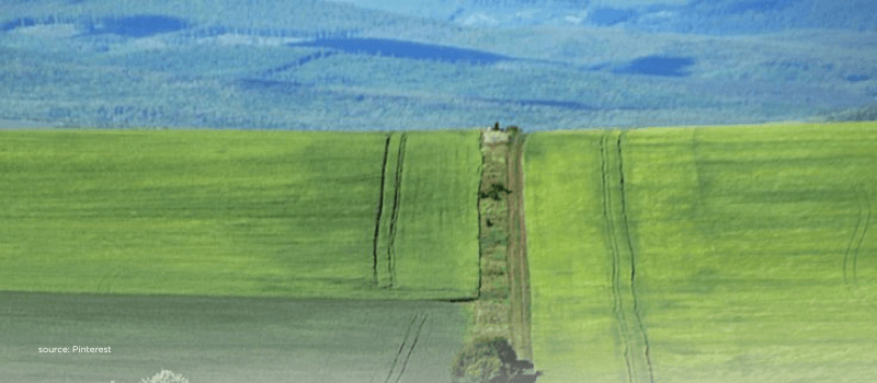 Green fields suggest a shift from physical savings to market investing