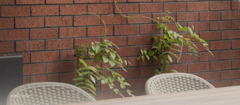 Sparse vines on a brick wall evoking under-allocation to capital markets