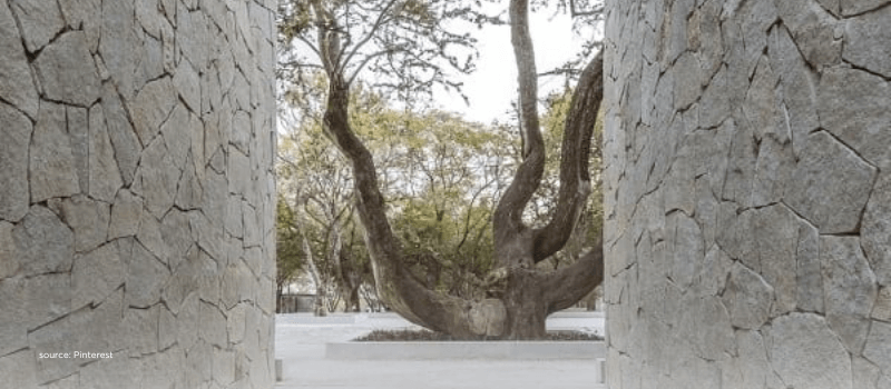Stone corridor opening to a tree suggests clearer exit routes in India’s markets.