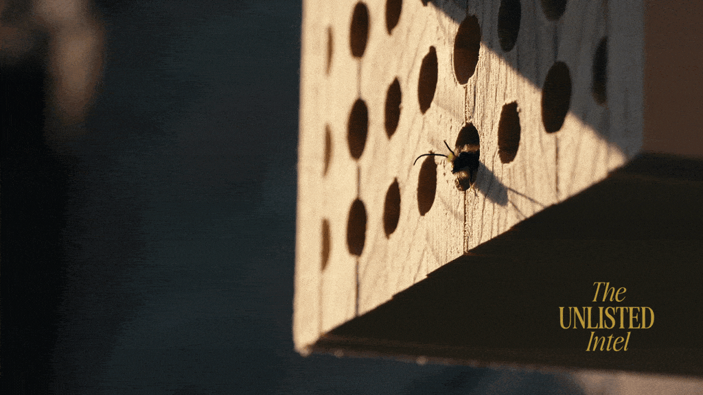 Bee entering a wooden hive, symbolising engineered exit routes.