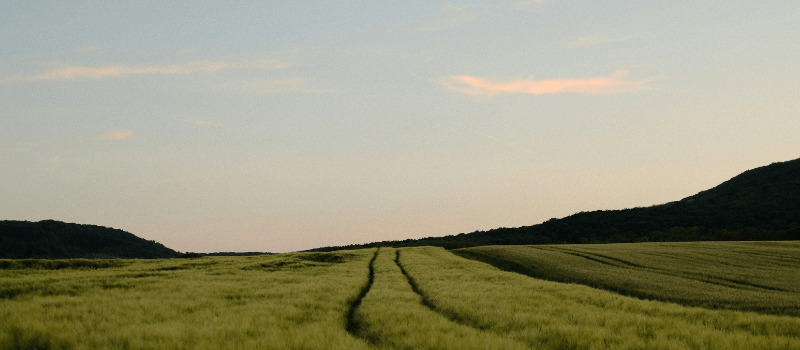 Diverging tracks in a field reflect return dispersion across private market managers