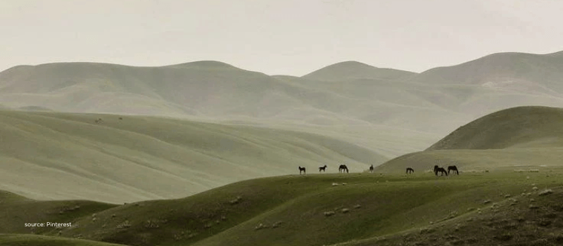 Distant horses across wide hills, reflecting broad AI adoption with sparse monetisation.