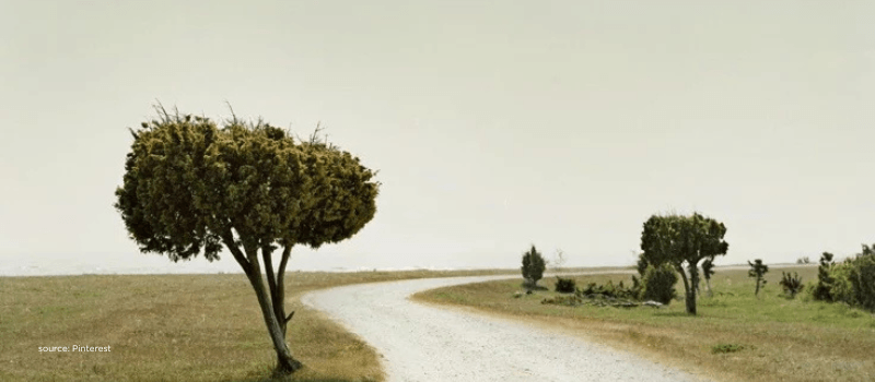 Winding road across open terrain reflecting progress in women-led deeptech in India