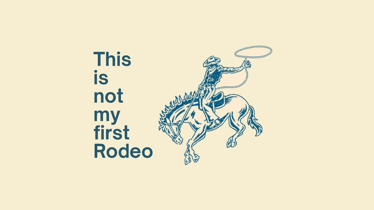 Rodeo rider graphic symbolising resilience amid private market volatility.