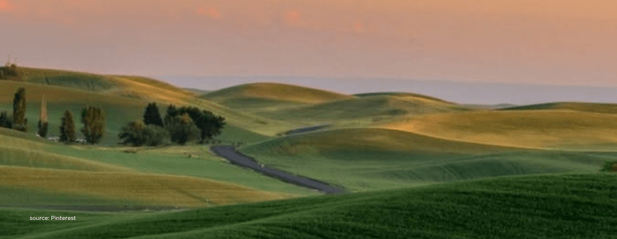 Rolling green hills with a winding road, evoking domestic capital navigating macro shocks